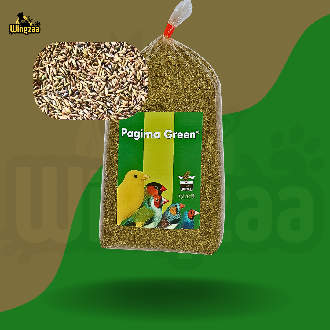 pagima-green-750g