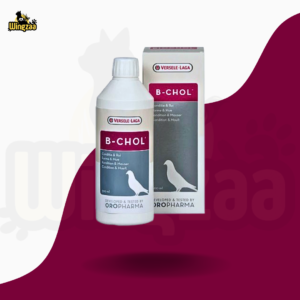 B-Chol