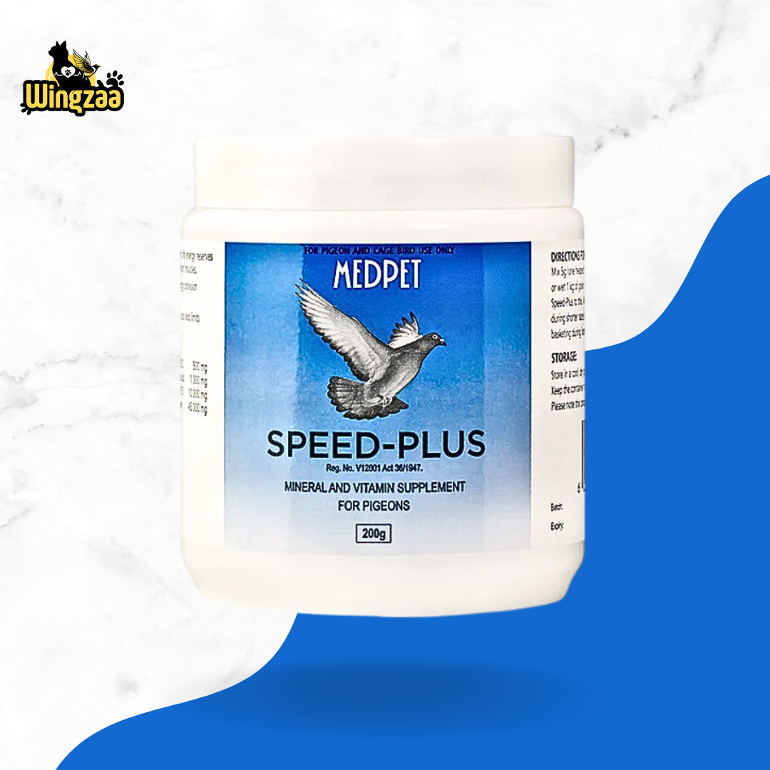 speed-plus
