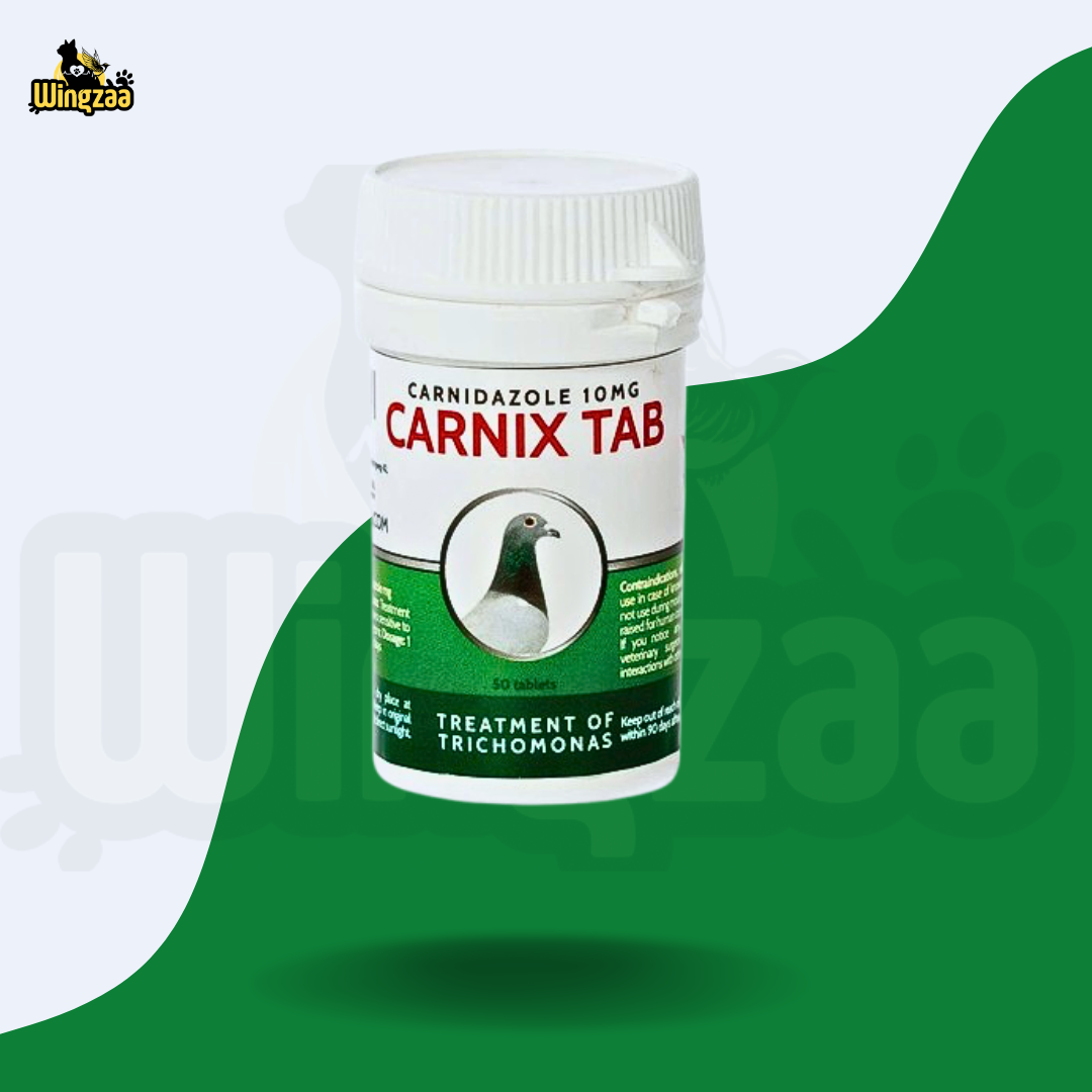 carnix-tab-50p