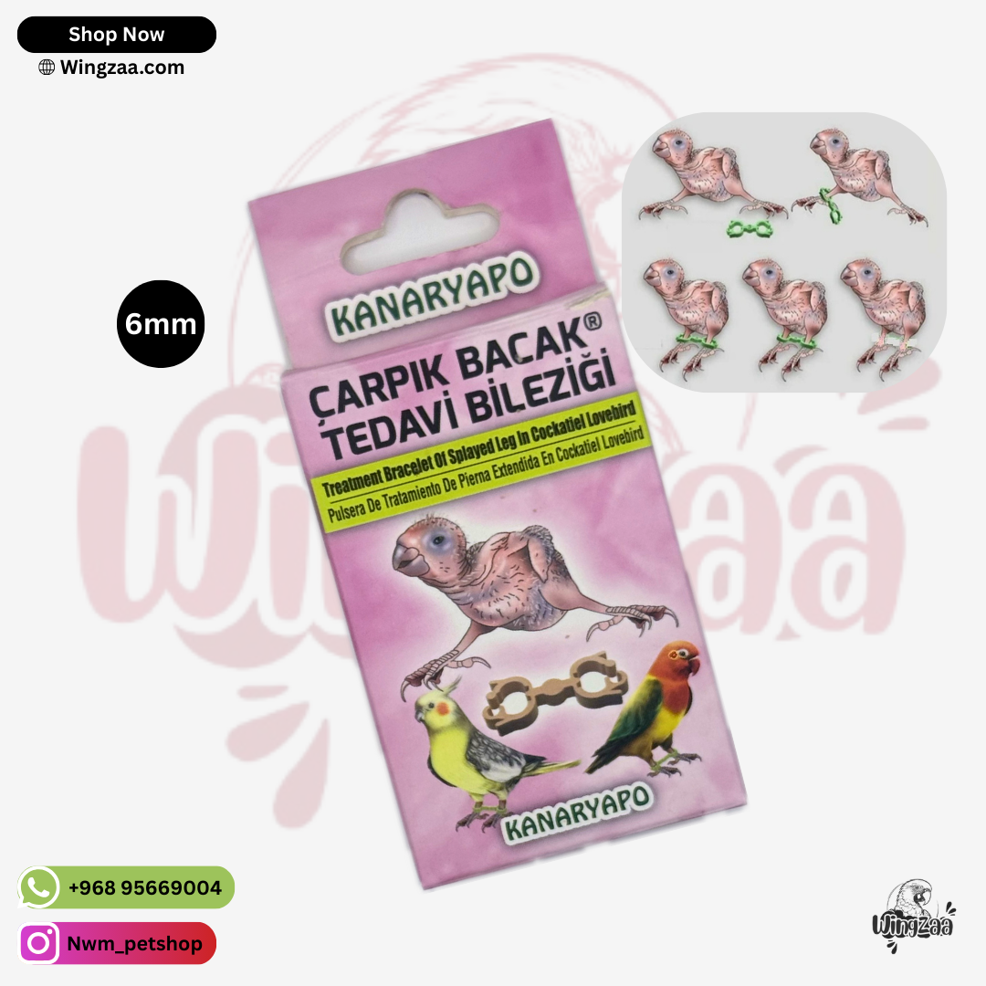 10pcs-leg-correction-6mm
