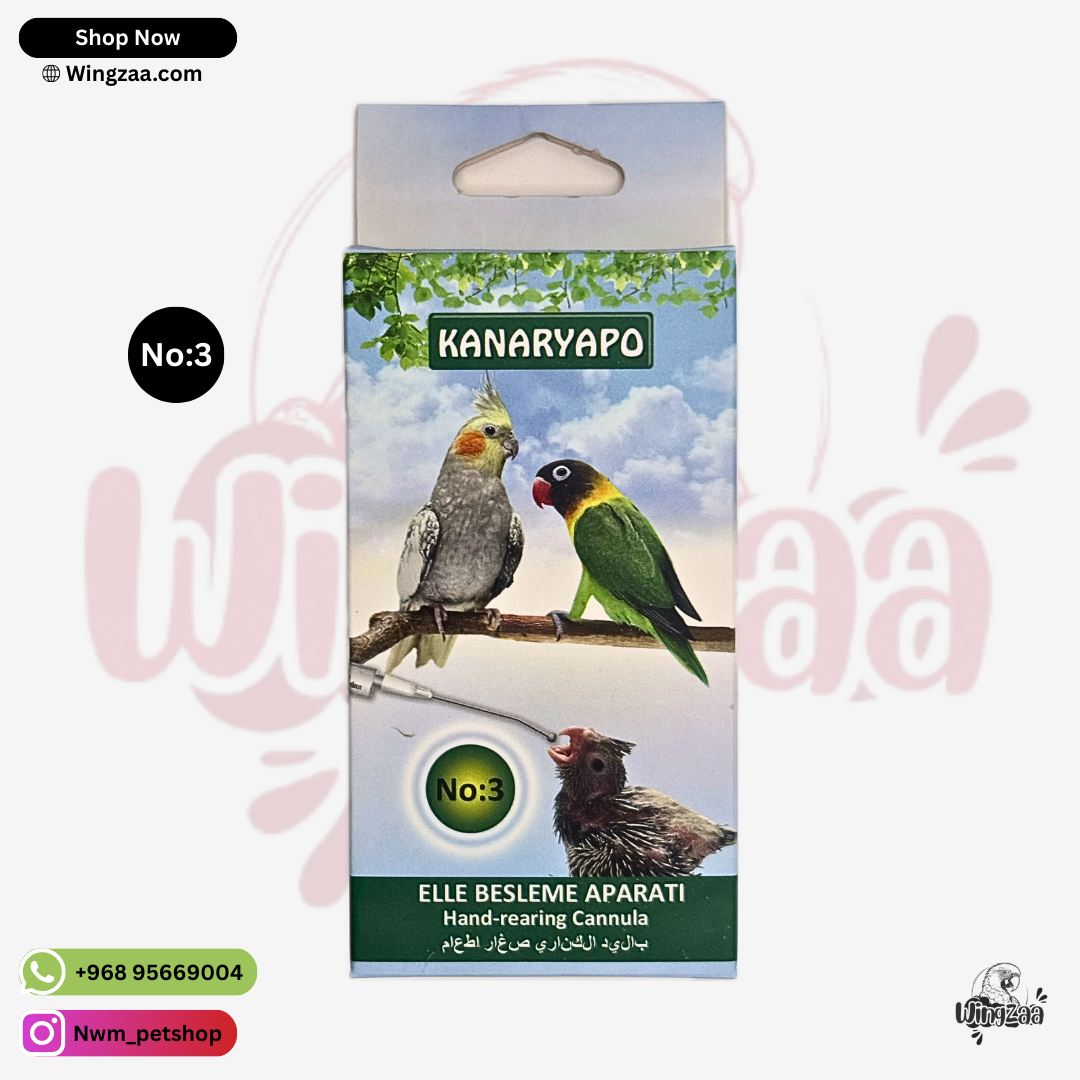 kanaryapo-hand-feeding-syringe