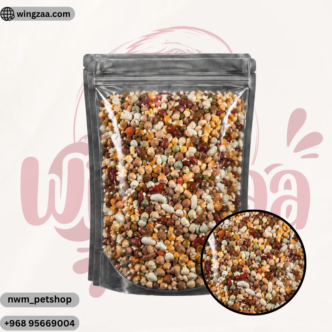 soaked-seeds-10kg-%d9%85%d9%86%d9%82%d9%88%d8%b9