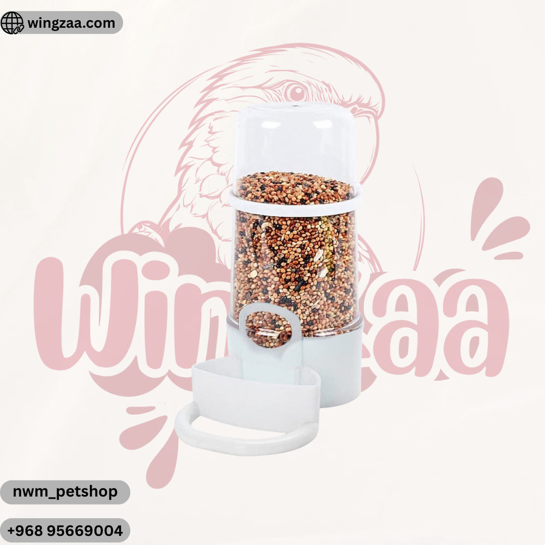 automatic-bird-feeder