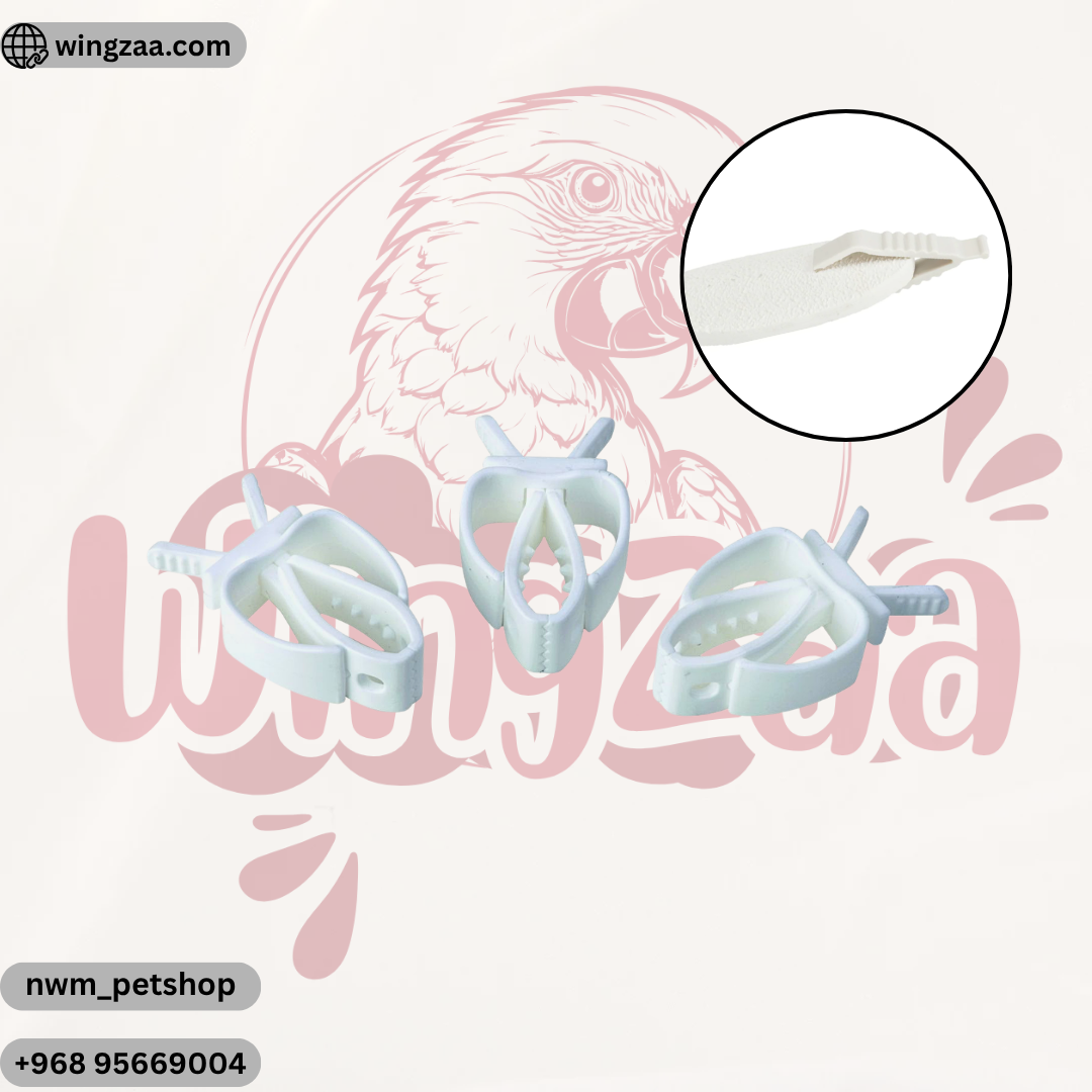 cuttlefish-calcium-holder-1pcs