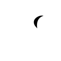 black bird logo,dove logo template 2